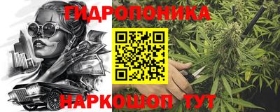 spice Краснознаменск