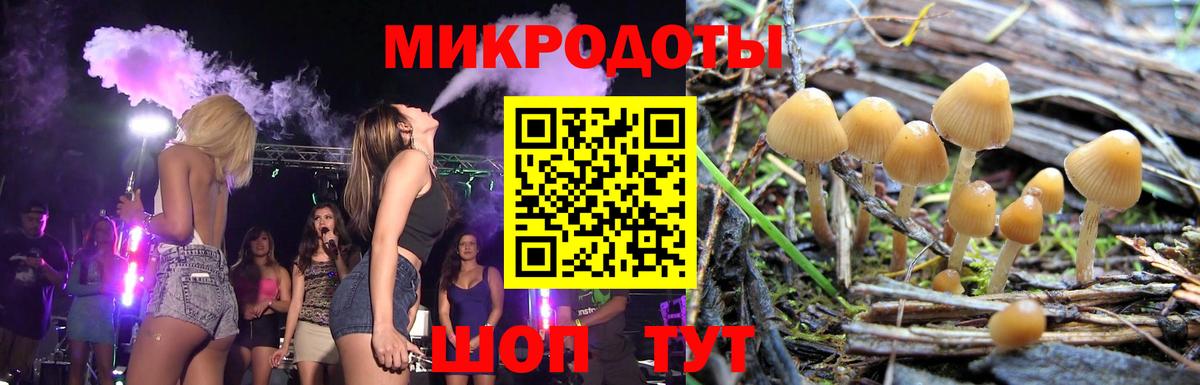 Галлюциногенные грибы Psilocybe  купить наркотики цена  Красноармейск  Псилоцибиновые грибы MAGIC MUSHROOMS  Вход с VPN 