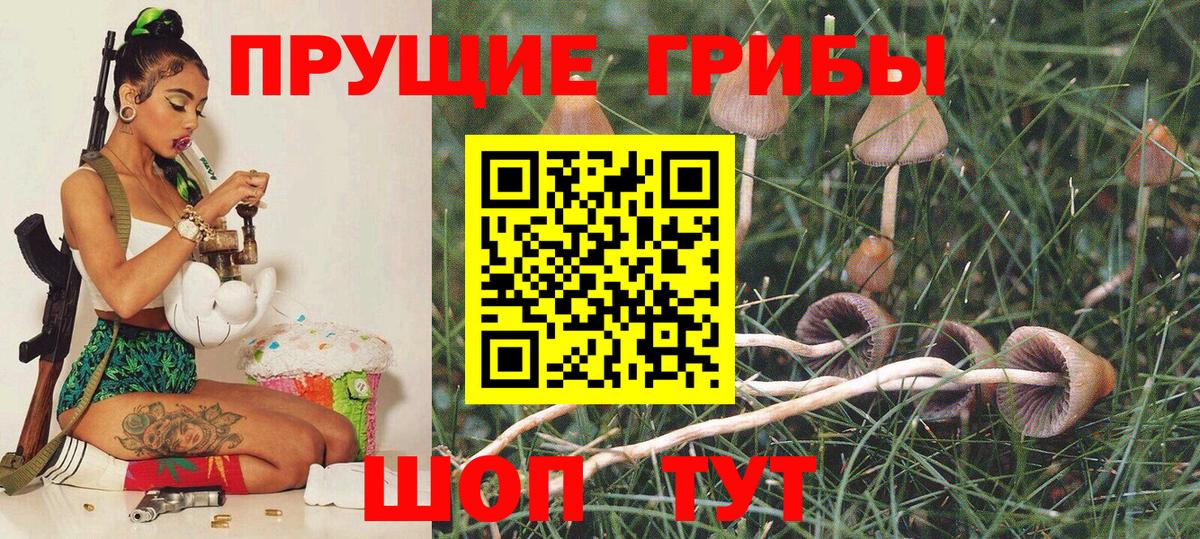 Галлюциногенные грибы прущие грибы Красноармейск